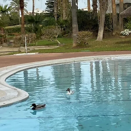Apartamento Playa Del Infante-golf Costa Ballena